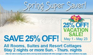 Spring-Super-Saver Discount