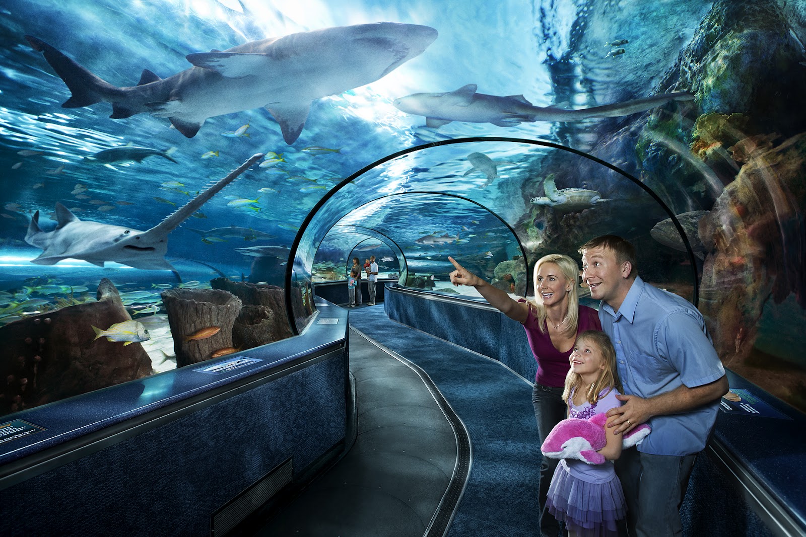 Ripley's Aquarium Vacation Planning Guide