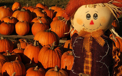 haunted-hayride-and-fall-festival