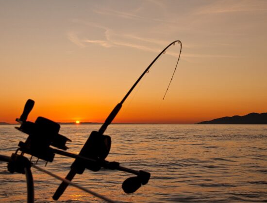 Capt. Austins’s Fishing Adventure